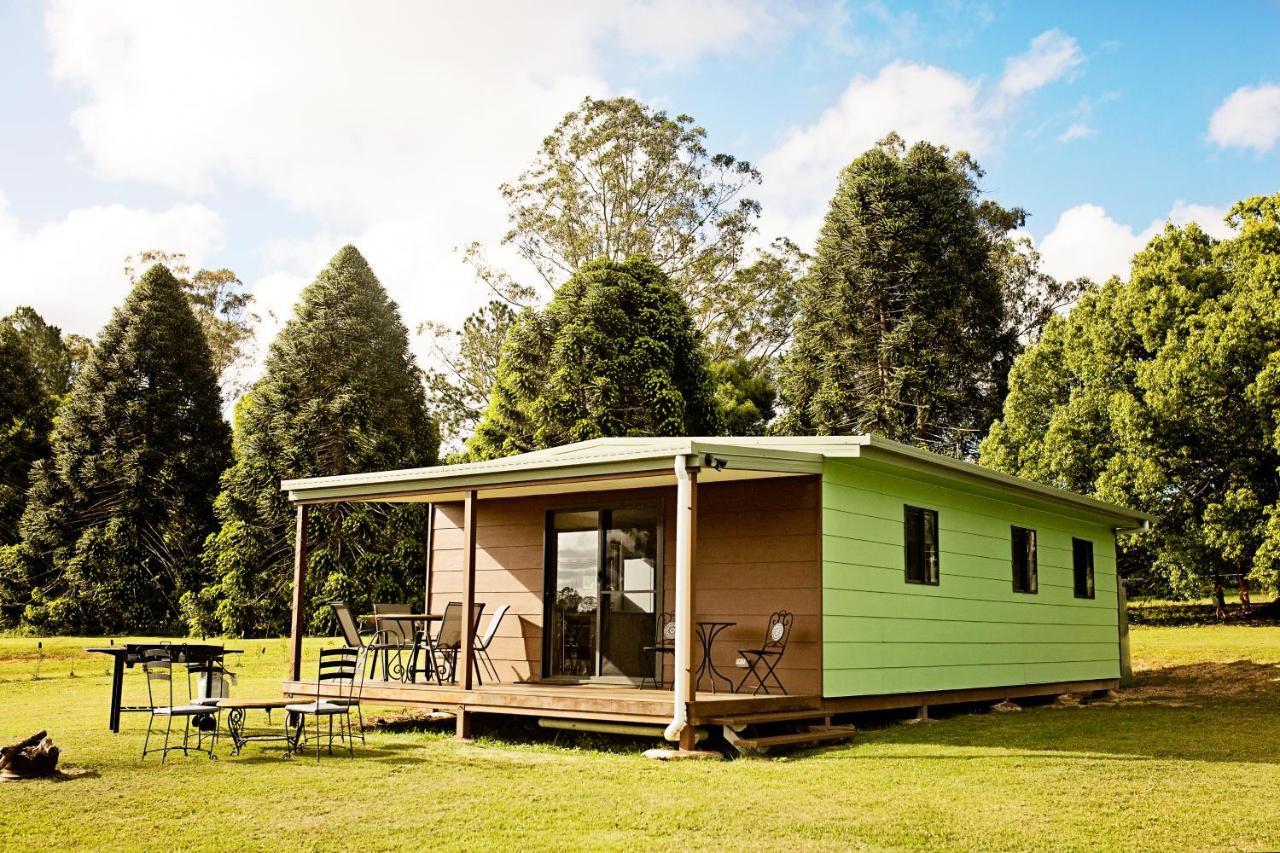 Pinbarren Green Lodges Noosa Exteriör bild